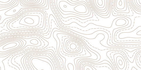 Fototapeta premium Abstract Contour Line Background with Smooth White Topographic Mapping Texture.