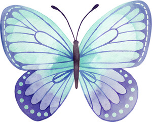 Watercolor butterfly with blue and purple wings on transparent background.
