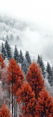 A stunning juxtaposition of red trees against evergreen pines in a snowy setting, showcasing nature's remarkable beauty and seasonal contrasts in a serene and artistic winter wonderland.