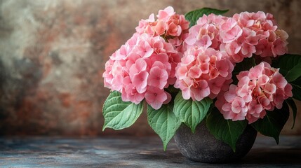 Light pink hydrangea featuring pearlised centers against a soft beige background in a serene floral display