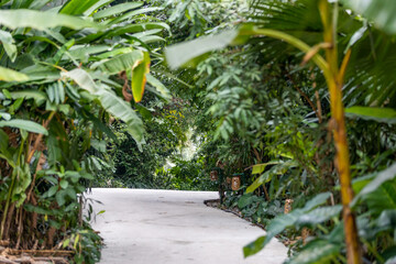 The traditional household items of the Tay ethnic group found within their homes in Thai Hai cultural village.
