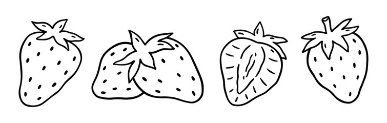 Strawberry set isolated on a white background. Vector hand-drawn illustration in outline style. Perfect for cards, decorations, logo, menu, recipes, various designs.