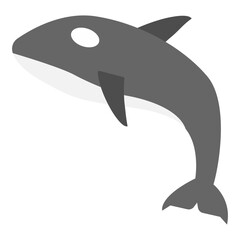Orca Vector Illustration on White Background