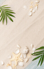 Tropical background featuring palm leaves, seashells, and starfish on sand