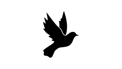 flying Pigeon, black isolated silhouette