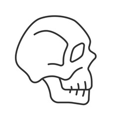 Skull line icon. Halloween holiday spooky decor. Human head bone frame side view. Anatomy studying model. Isolated vector illustration. Outline symbol. Simple linear drawing. Editable stroke