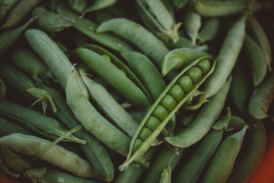 Fresh raw green peas in container