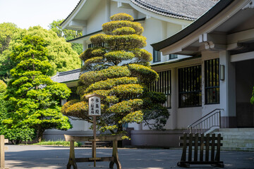 Traditional Japanese architecture surrounded by serene, landscaped Zen gardens