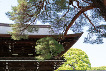 Traditional Japanese architecture surrounded by serene, landscaped Zen gardens