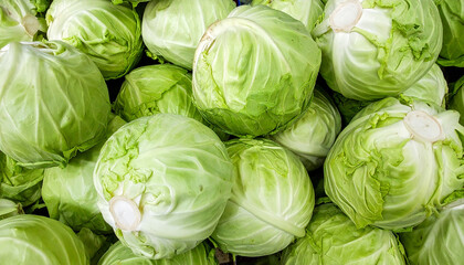 Fototapeta premium Fresh green cabbage backdrop. Ripe vegetable. Tasty food. Organic farm product.
