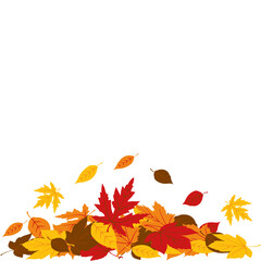 Autumn Leaf Pile