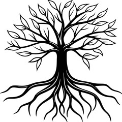 Rooted Harmony