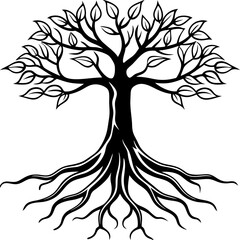 Rooted Harmony