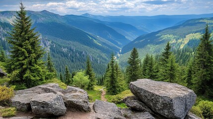 Obraz premium Majestic mountain valley vista, showcasing a verdant landscape with towering evergreens, rocky outcrops, and a winding trail leading into the depth