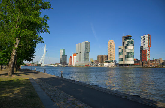 Skyline of Rotterdam with modern architecture along the river Nieuwe Maas