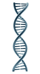 DNA double helix structure on transparent background  