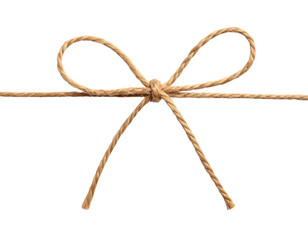  Minimal looped string bow isolated without box  (2)