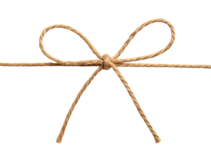  Minimal looped string bow isolated without box  (2)