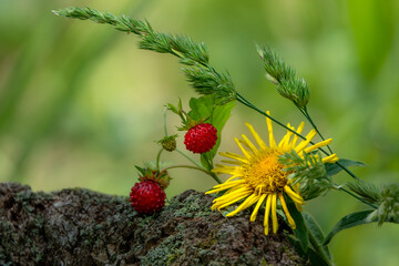 Wild strawberry