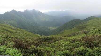 Naklejka premium Misty mountain valley with lush green slopes and distant peaks. A tranquil, serene landscape