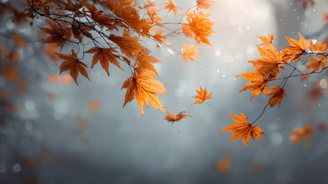Autumn leaves gently falling from branches, creating serene and peaceful atmosphere