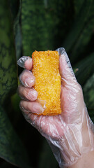 Jakarta, Indonesia 30 June 2025 : Hand holding a fried cheese roll with gooey cheese dripping....