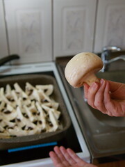 Cooking white mushrooms in the kitchen. Hand holding a mushroom. Vertical shot