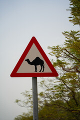 Roadside sign with a camel silhouette, typical of desert regions.
