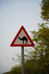 Warning sign with camel icon along a quiet desert road.
