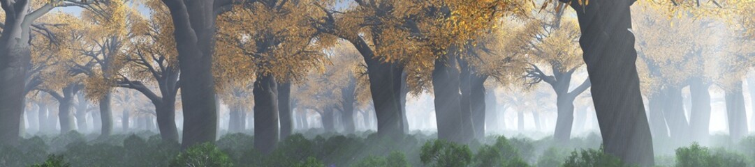 Forest in the morning in a fog in the sun, trees in a haze of light, glowing fog among the trees, 3D rendering