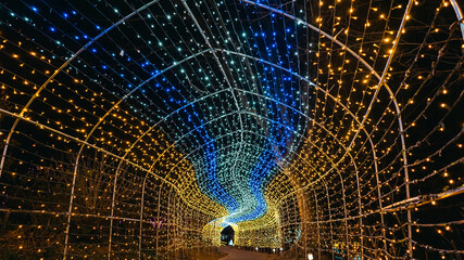 イルミネーション