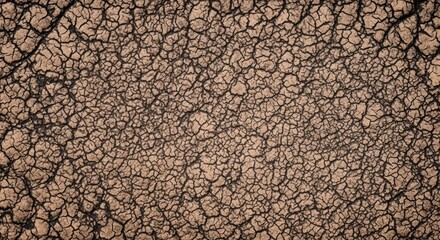 Naklejka premium Parched earth texture with cracked dry soil pattern