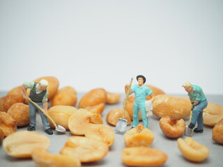 Mini toy of action figure at table with white background. Miniature photography concept design. Minifigure of Peanuts worker farmer activity.