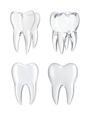 Four glass teeth representing dental health and hygiene on a transparent background