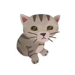 Cute cat kitten clipart cartoon png