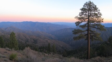 Serene sunset view over vast mountain range, solitary pine tree stands tall in foreground