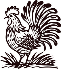 Obraz premium Intricate vintage engraved rooster illustration standing on grass with detailed feathers and ornate tail design