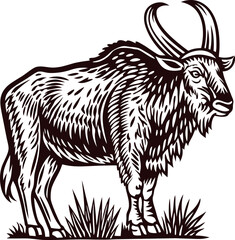 Hand drawn illustration of wildebeest standing in grass detailed vintage engraved animal sketch