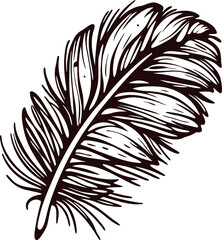 Obraz premium Detailed hand drawn feather illustration in vintage engraved isolated on white background
