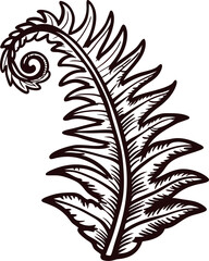 Obraz premium Hand drawn detailed fern leaf isolated on white botanical sketch illustration of curled leaf in vintage engraving
