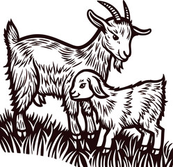 Fototapeta premium Engraved illustration of adult goat and kid standing on grass in vintage rural farm scene