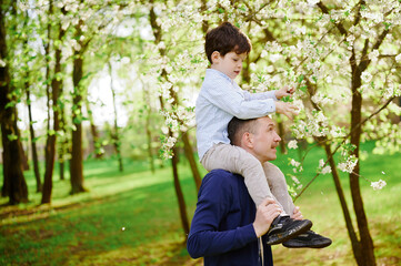 father carries son on shoulders through blossoming spring forest. joyful bonding moment amid...