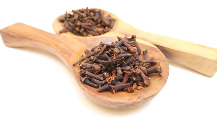 Whole Cloves in wooden spoons isolated on white background, herbs and spices