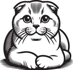 Scottish Fold Cat Vector in black and white