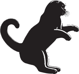Scottish Fold Cat Vector in black and white