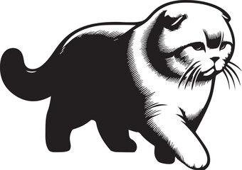 Obraz premium Scottish Fold Cat Vector in black and white