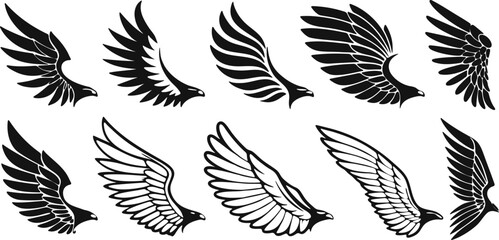 Collection of stylized eagle wings illustrations on background different shapes angles for design