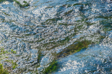 初夏の日差しに輝く清流の流れ19