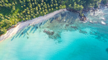 Aerial view of the dark green forest and the sea. Natural ecosystems of forests and oceans. concept of natural forest conservation