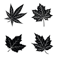 set of autumn leaves silhouette vector